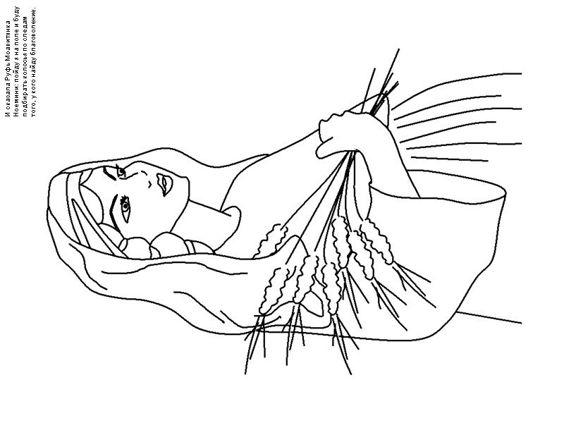 И сказала Руфь Моавитянка Ноемини: пойду я на поле и буду подбирать колосья по